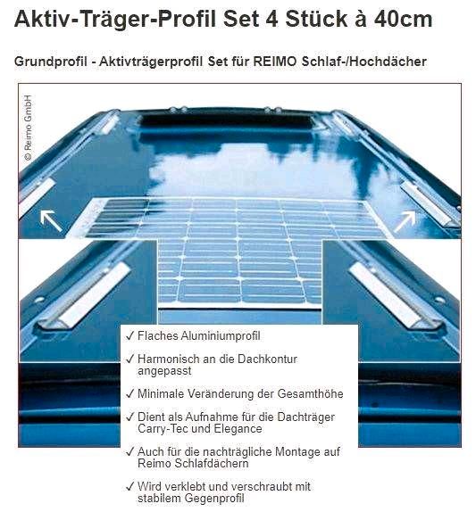 Carry-Tec Dachträgersystem Dachträger für REIMO Aktivträgerprofil