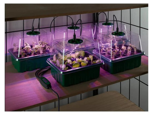 Parkside LED-Anzuchtkasten-Set ( 5 Stück ) Stromversorgung über USB Cannabis-Anbau Hanf-Anbau Grow-Box Grow-Light